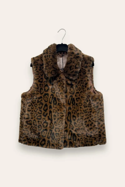 Gilet