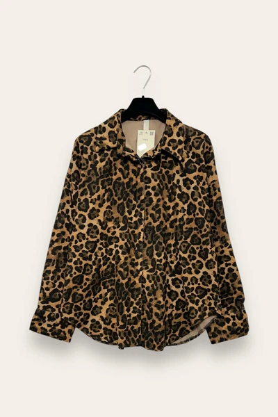 Camicia